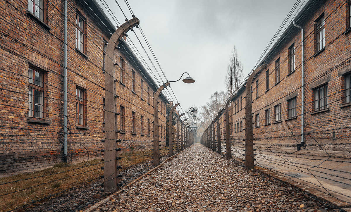 Internationale Holocaustherdenkingsdag