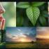 Collage van rustgevende ASMR scenes.