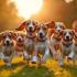 Een groep blije beagles die met hun baasjes in een park rennen tijdens een feestelijke Beagle Dag.