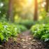 Een levendige tuin met gezonde planten
