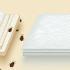 Illustratie van een bed met bedwantsen en een schoon bed voor preventie