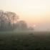 Rustig landschap in Vlaanderen op Stille Zaterdag